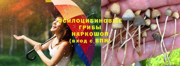 мескалин Армянск
