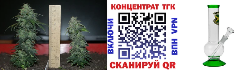 Купить закладки  Нея  Дистиллят ТГК концентрат 