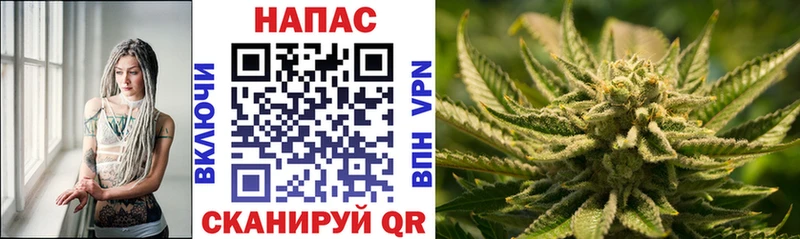 Купить где  Нея  Бошки Шишки марихуана 